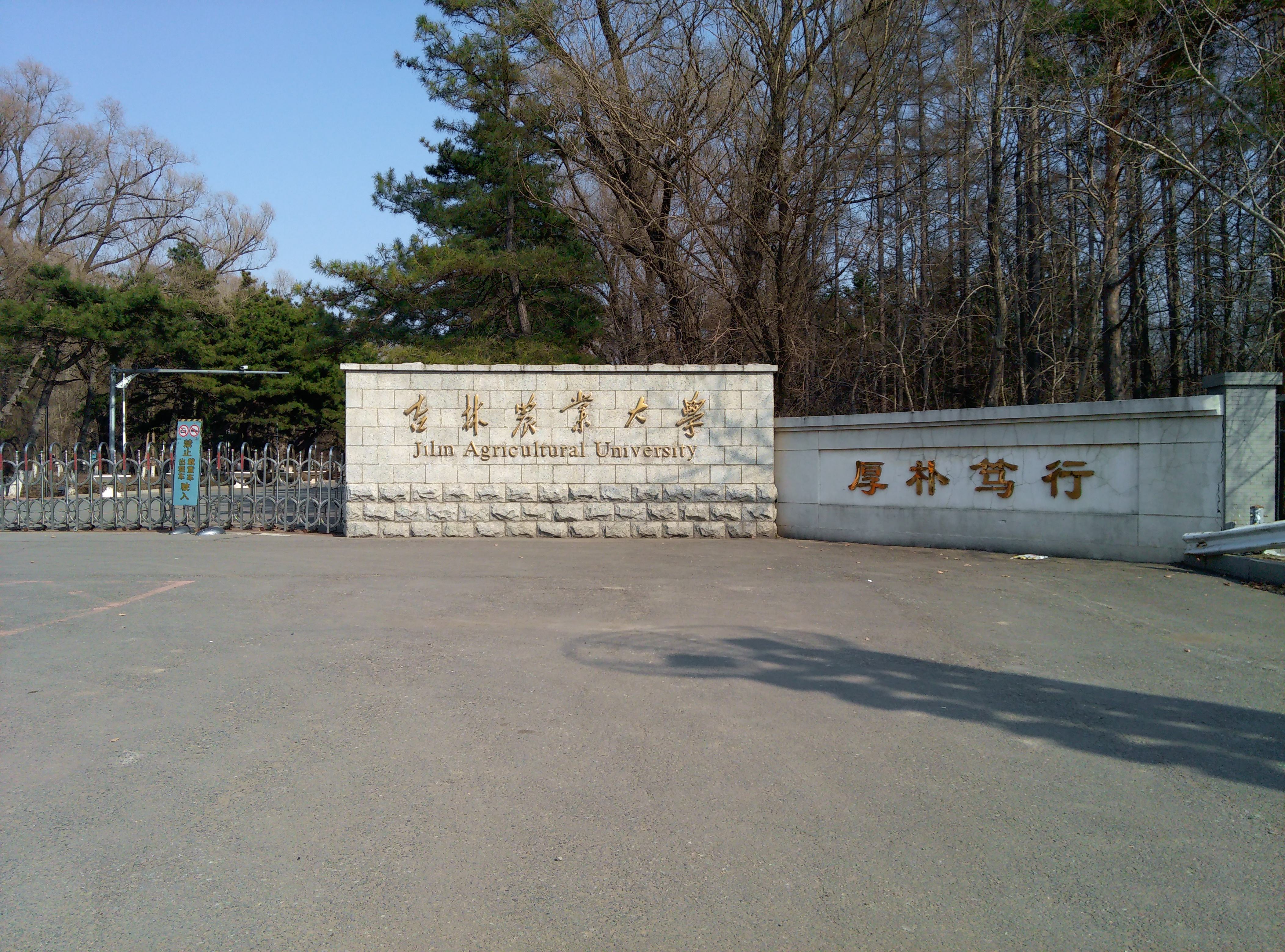 吉林农业大学风景图图片