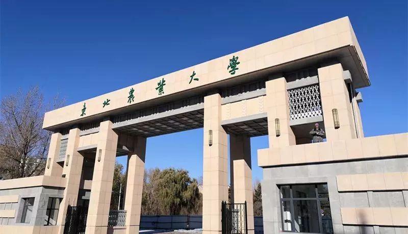 东北农业大学校门图片